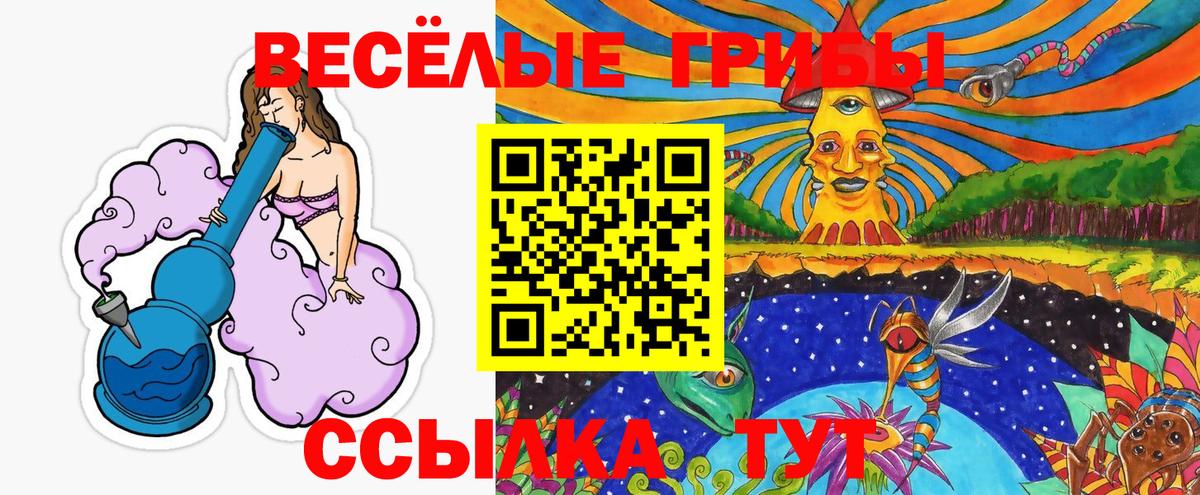 Псилоцибиновые грибы прущие грибы  купить  сайты  Пугачёв  Галлюциногенные грибы Psilocybe  Вход с VPN 